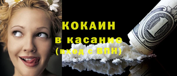 индика Сафоново