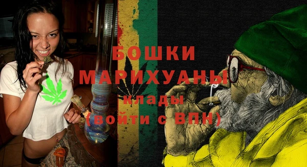 индика Сафоново