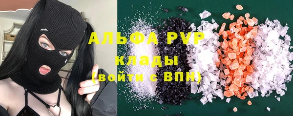 индика Сафоново