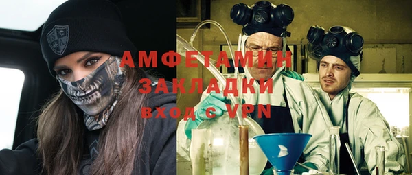 индика Сафоново