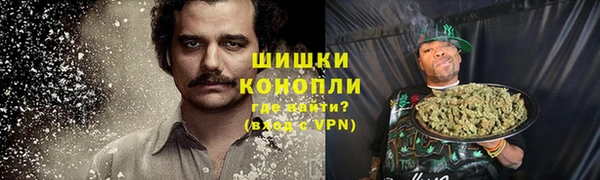 индика Сафоново