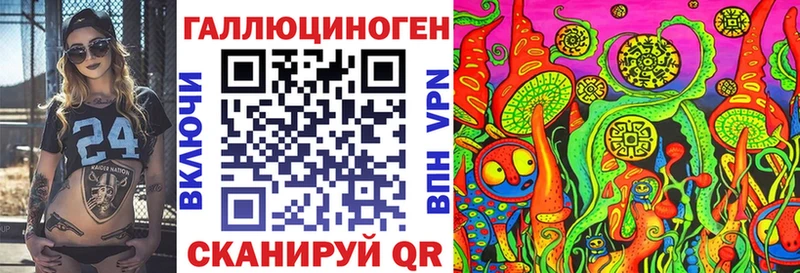 Купить  Новый Оскол  Псилоцибиновые грибы Psilocybine cubensis 